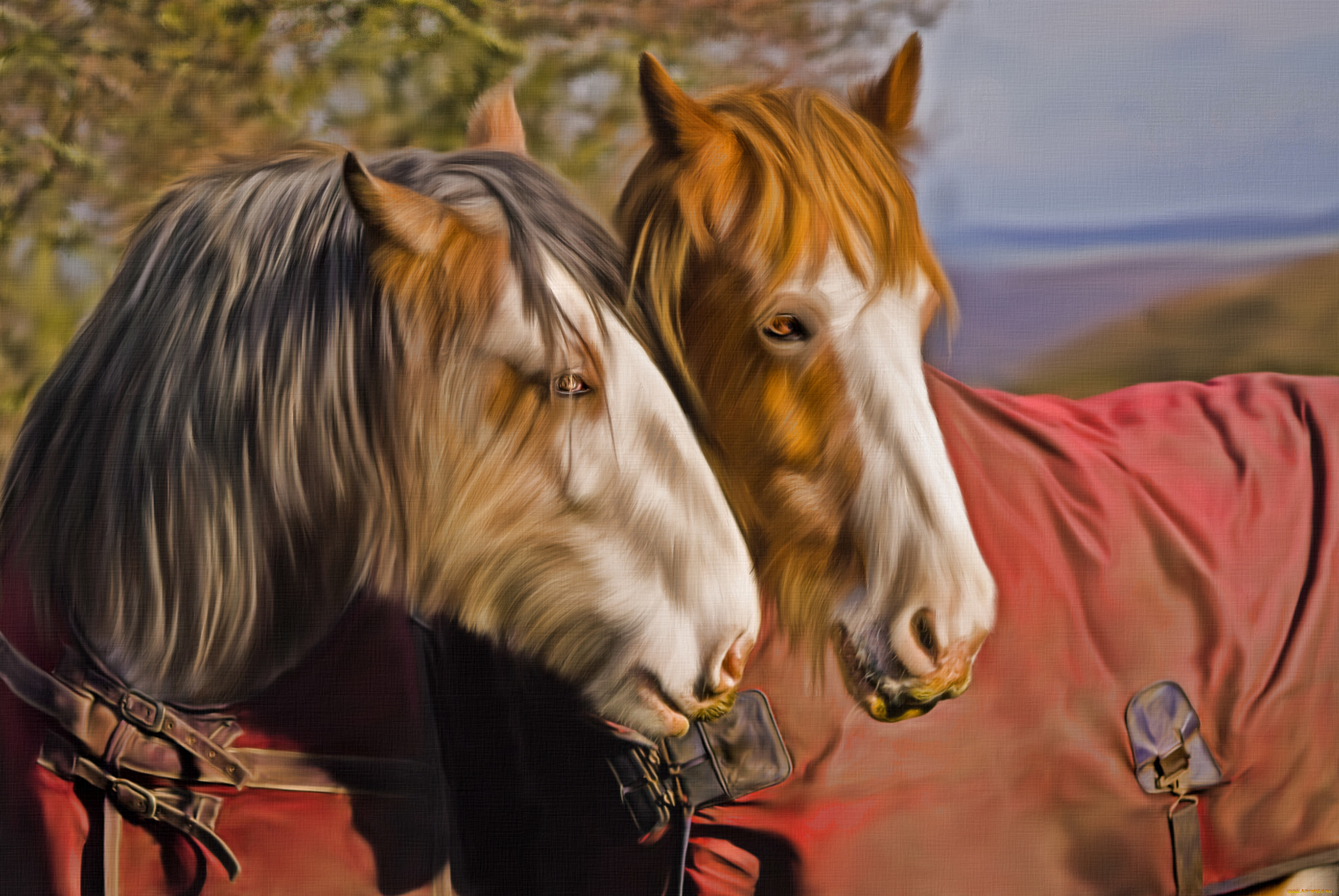 Лошадь с 2 девушками. Две лошади. Лошадь арт обои. Креативный рабочий стол лошадь. Арт обои лошади высокое качество.